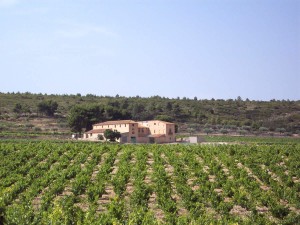 3 Estudio de Paisaje Fontanars 2