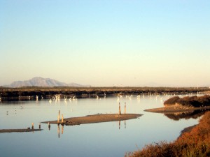 3 Estudios especificos Santa Pola 3