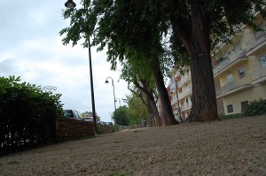 3 PARQUE PESET Quart 1 2