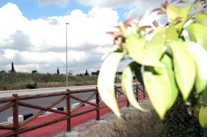 4 RONDA Alcudia 1