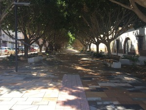 IMG 1992 WEB
